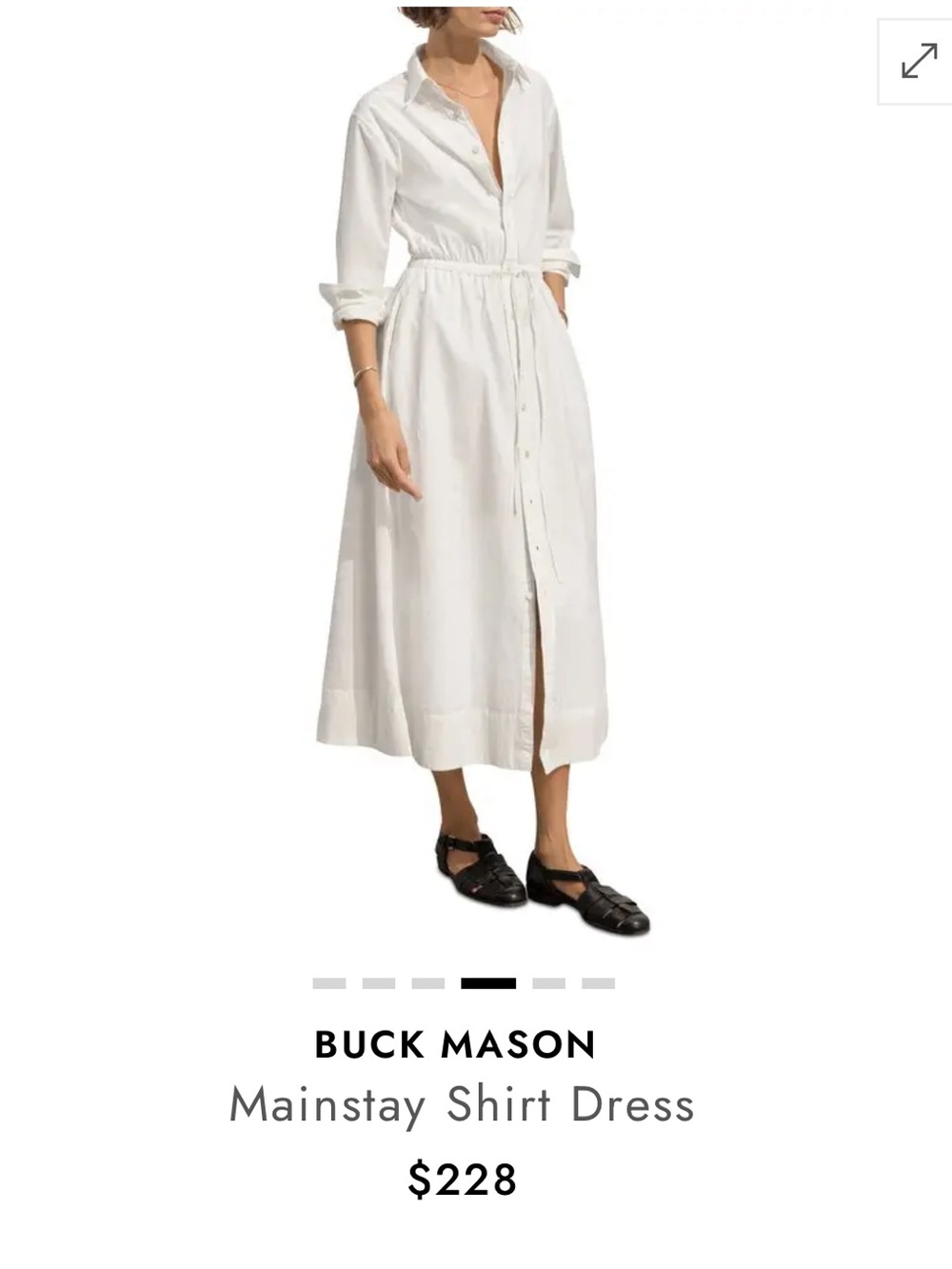 NWOT Buck Mason mainstay shirt dress